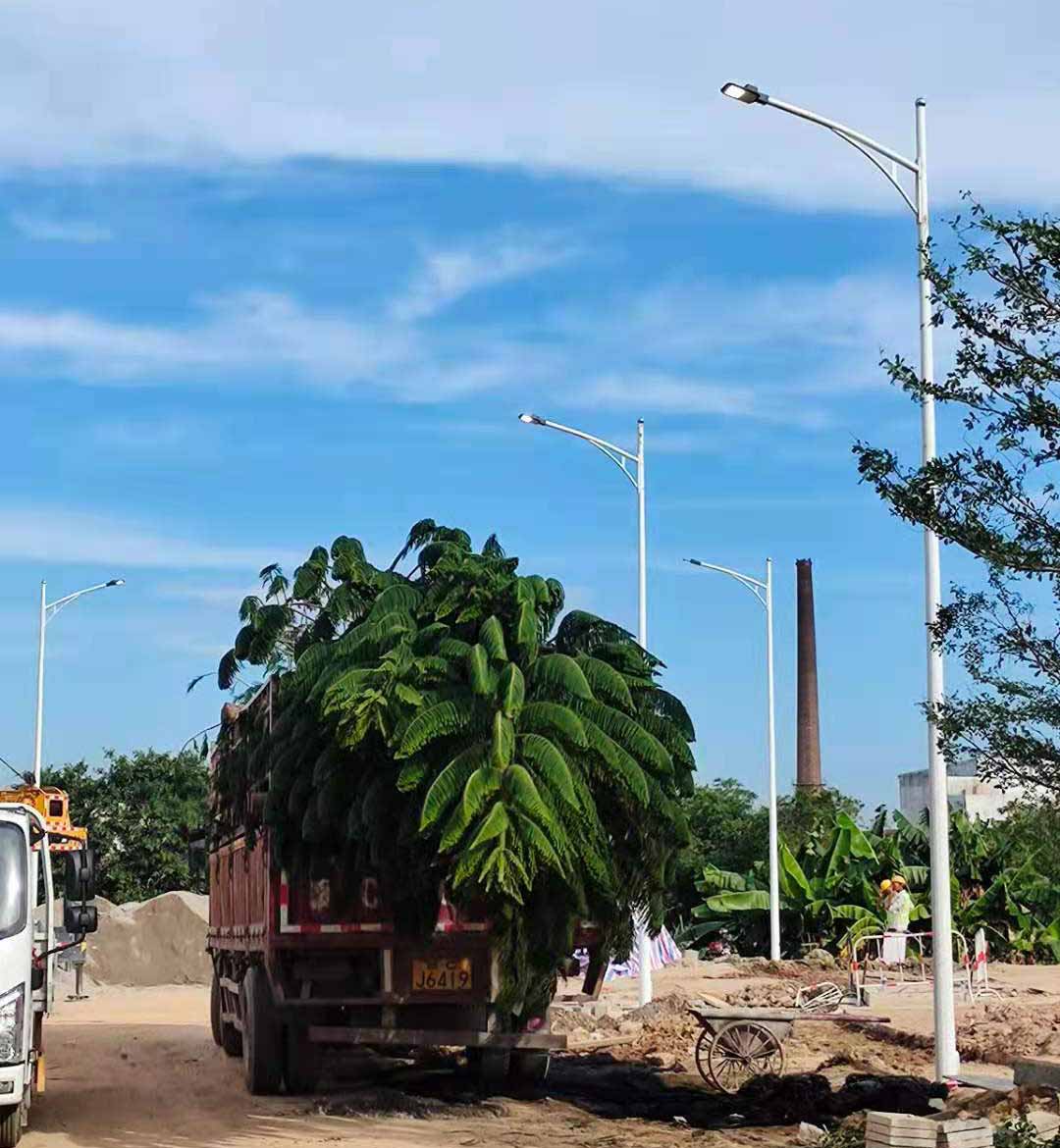 平博在线开户,平博（中国）助力东莞洪梅万科星城道路亮化工程